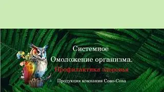 Презентация компании Сово-Сова за две минуты! 30.11.2023
