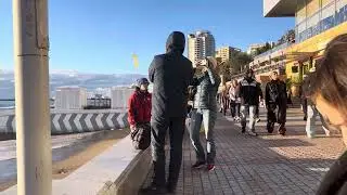 Такое зимнее кино сегодня в Сочи