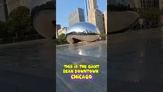 ...it had to be done #shorts #chicago #funny