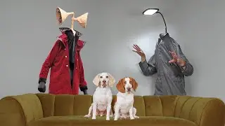 Dogs vs Siren Head vs Light Head Prank: Funny Dogs Maymo & Potpie See Siren Head In Real Life