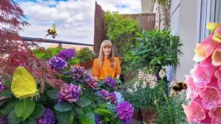Pollinator Friendly Plants That Grow In The Shade - Summer Flowering