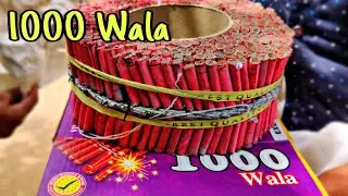 1000 Wala Red Bijili Cracker | #Sivakasi #Crackers 2019 | Diwali Crackers