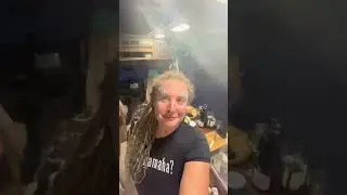 в Геленджик на автодоме с котом)