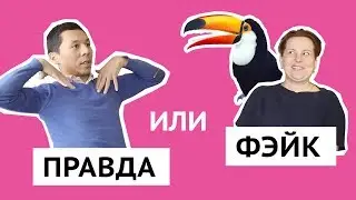 Назарбавий, дроны вместо салютов, тукан — символ экоактивизма | ПРАВДА ИЛИ ФЕЙК