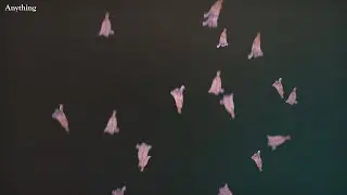 Sharon Van Etten - Anything (Lyric Video)