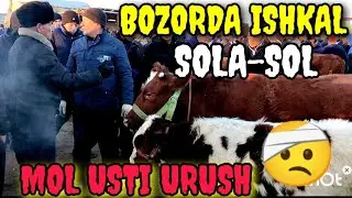 BUXORO JONDOR/MOL BOZOR ONA BOLA SIGIR NARXLAR 12.02.2023/JONDOR UZ