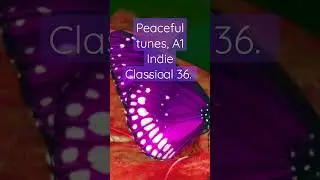 Peaceful tunes. A1 Indie Classical 36. Copyright free.