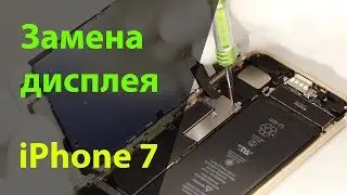Замена дисплея на iPhone 7