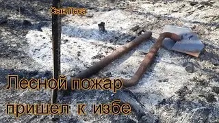 Лесной пожар пришел к избе