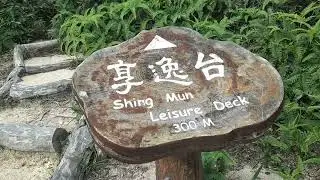 Part #3 Pineapple Dum In Tsuen Wan
