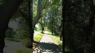 8 сентября 2024 г.