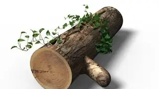 كيف تصمم جذع شجرة ! درس فوتوشوب  How to design a tree trunk! Photoshop