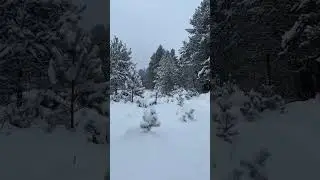 Найди замаскированных часть 7 