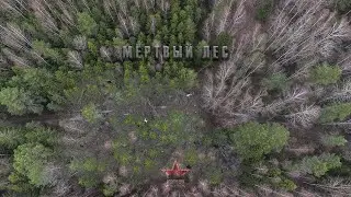 Мёртвый лес | Раскопки по войне | ЕЕ88