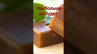 КАК ИЗБАВИТЬСЯ ОТ ТЛИ И 🐜 МУРАВЬЕВ БЕЗ ХИМИКАТОВ ?