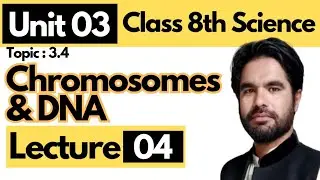 Class 8th Science | Chromosomes and DNA - Unit 03 - Lecture 04