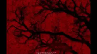 LIL STAX - fu*k_love