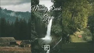 Moody Dark Green Presets - Lightroom Mobile Presets DNG | Moody Dark Green Lightroom Preset