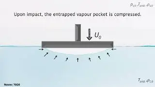 ***Winner of the Burgers Gallery 2024** Entrapped vapour pocket during boiling impact