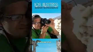 Registro de esculturas del Cementerio Los Ilustres #investigacióncientíficaues #arte #elsalvador