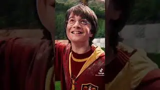 Harry Potter and the Philosopher's Stone - aesthetics