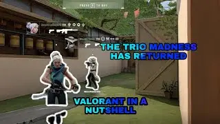 VALORANT IN A NUTSHELL