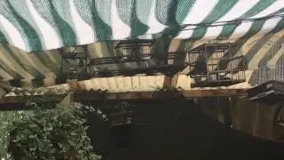 Un poco de ruido :D