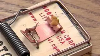 Victor Metal Pedal Mouse Trap Instructional Video