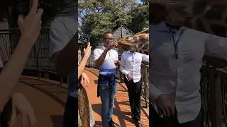 How To travel to Girrafe Center Nairobi by bus 🚎? 