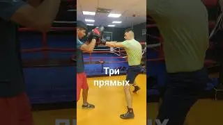 Три прямых. #бокс #boxingexercise #спорт #boxing #boxingtraining #russianboxing