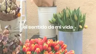 en plan, ¿qué sentido tiene vivir?