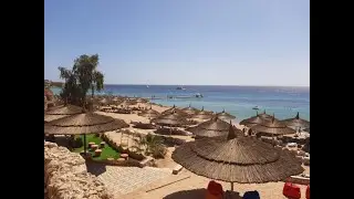 FARAANA REEF RESORT 4* Египет, Шарм-эль-Шейх  1-8 марта 2020