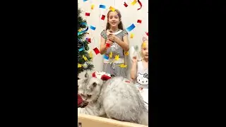 new funny video 2022