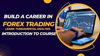 Build A Career in Forex Trading  Introduction to Course