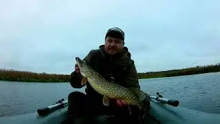 ОДНА ЗА ОДНОЙ.ЛОВЛЯ ЩУКИ НА ЖИВЦА. РЫБАЛКА НА КРУЖКИ.