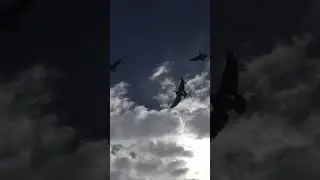 Goose at 10 Yards 