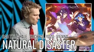 Bao The Whale, Trickywi, Yuzu, Vienna - Natural Disaster | Office Drummer [First Time Hearing]
