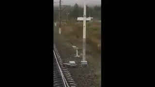Работаем не унывая, нас не просто так .....!!!!