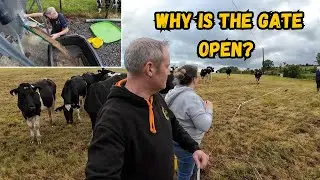 Gates OPEN Cattle Are MISSING!  Phone Call We Hate & Dreadful Conditions Hit The Farm