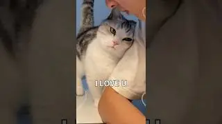 How Cats Say I LOVE U 💕 