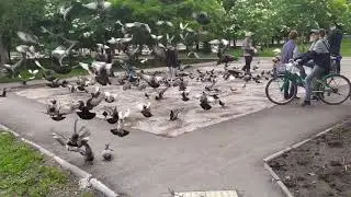 Они размножаются!