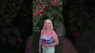 Есть песня с названием Лето