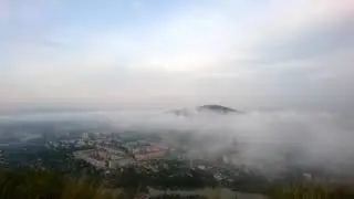 Аша туманная