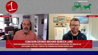 How safe is it to eat fish caught in Seneca Lake?
