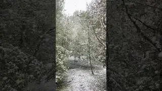Майский снег в Москве 😁