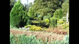 Veluwe & Utrechtse Heuvelrug deel 03