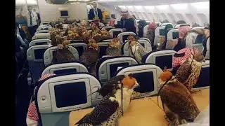 35 FOTOS que muestran lo LOCO que es realmente DUBAI