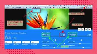 Tiện ích hút màu của googlr chrome