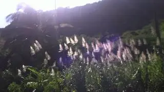 Wanderung von Calabaçeira nach Cidade Velha
