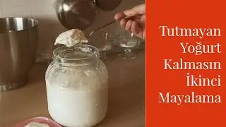 Re-ferment your non-fermented yogurt 💯 guaranteed method